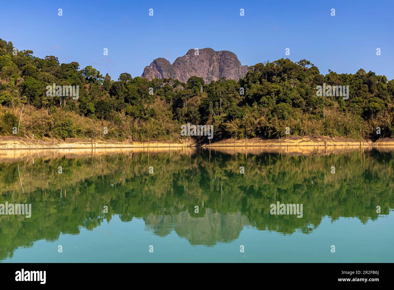 Réflexions d'eau sur l'eau calme du lac Ratchapapha à la lumière du matin, parc national de Khao Sok, Khao Sok. Thaïlande Banque D'Images