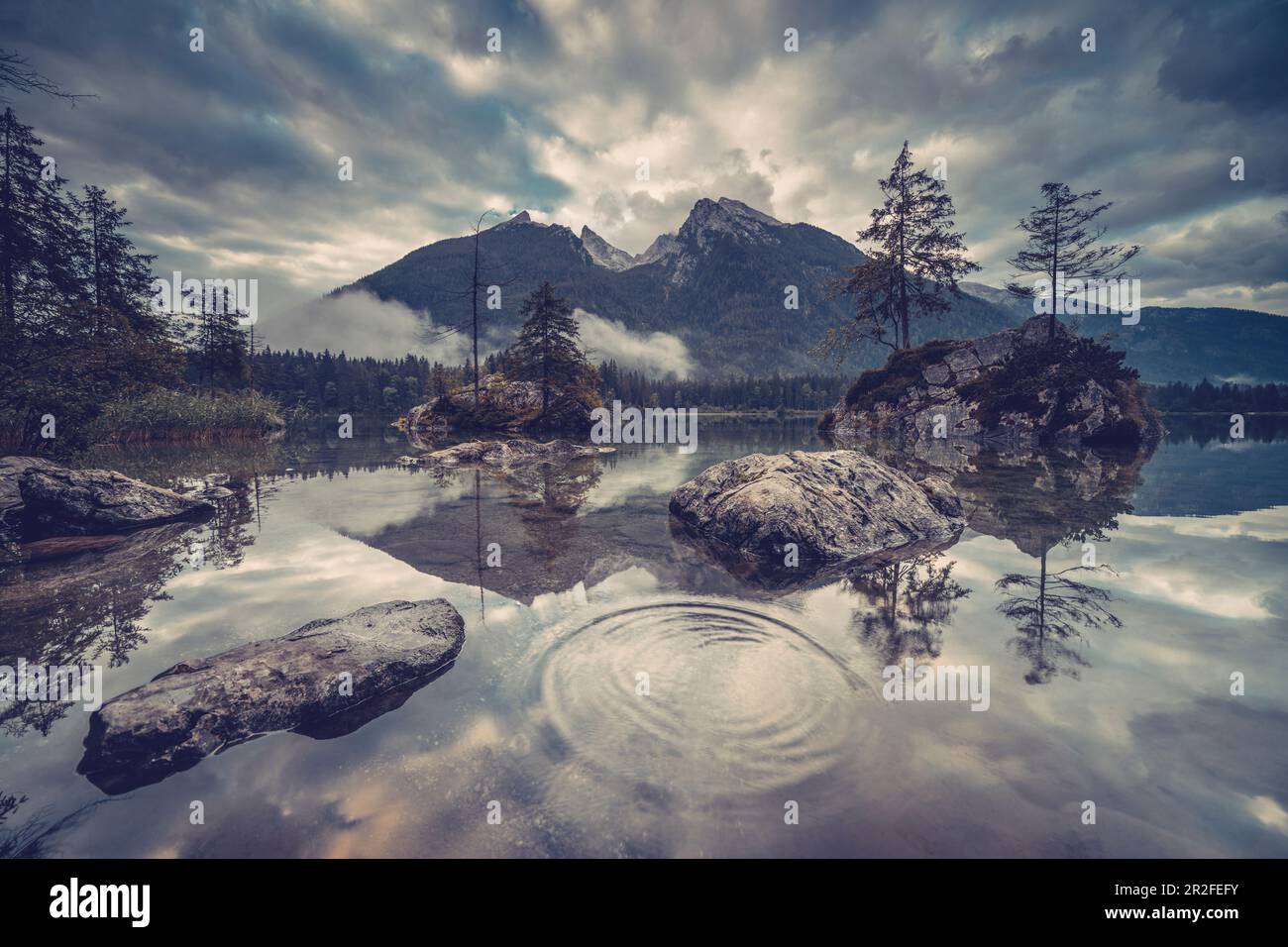 Vue sur l'Hintersee avec des îles rocheuses surcultivées en premier plan jusqu'à Schärtenspitze et Kleinkalter, Berchtesgadener Land, Bavière, Allemagne Banque D'Images