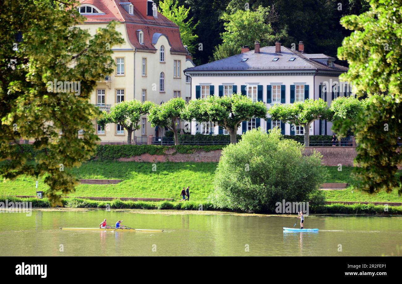 Neckar, rivière, maison, bateaux, rivage, Heidelberg am Neckar, Bade-Wurtemberg, Allemagne Banque D'Images