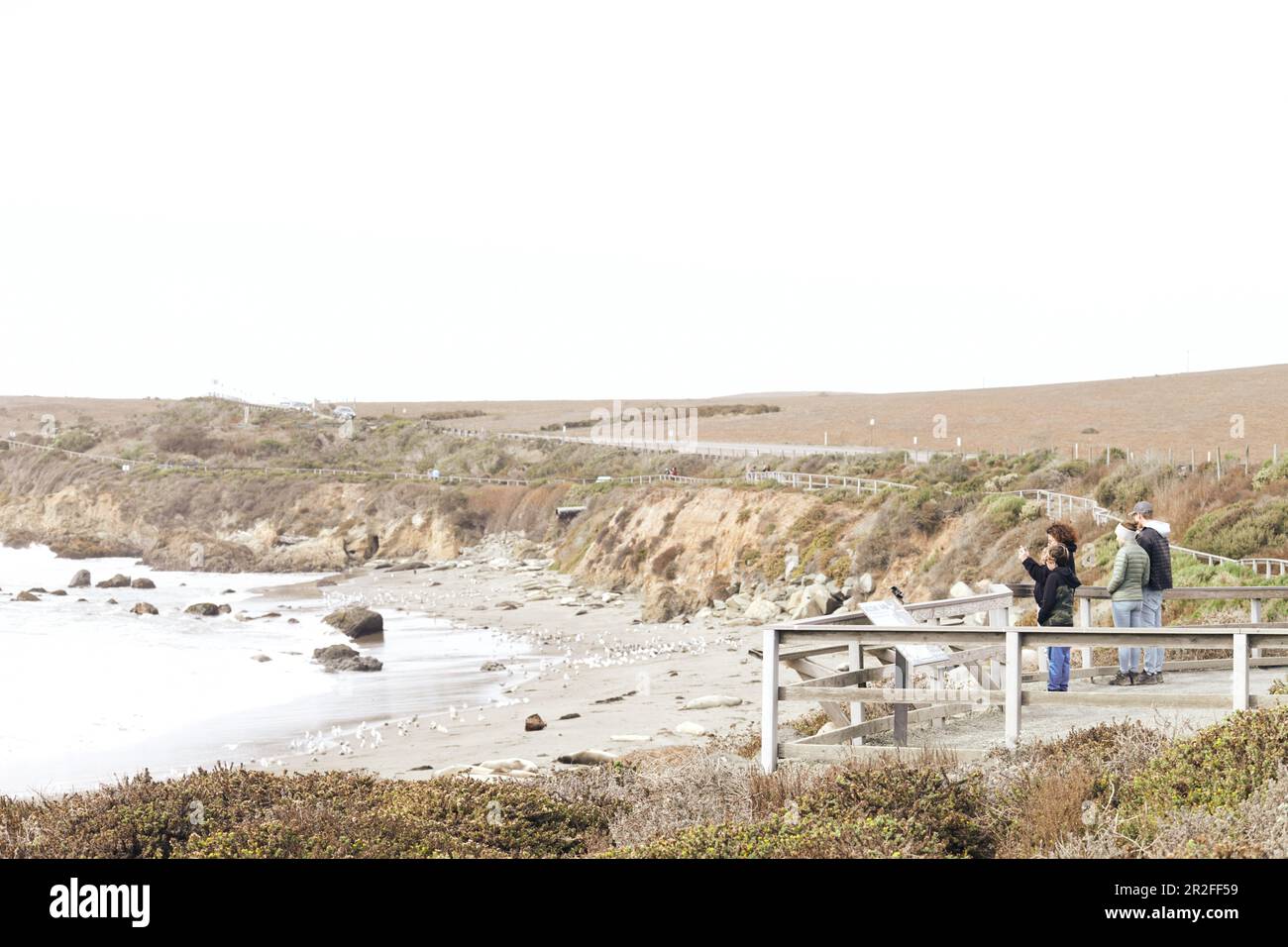 Touristes sur la terrasse d'observation pour observer les lions de mer sur la Highway 1, Californie, États-Unis. Banque D'Images