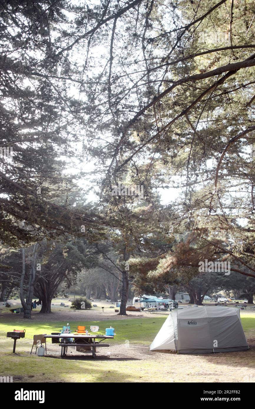 Camping près de Big sur, Californie, Etats-Unis. Banque D'Images