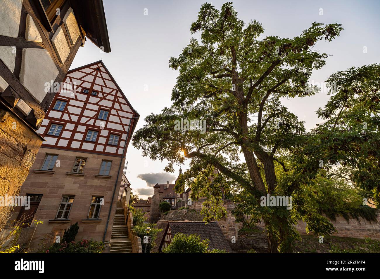 Grand arbre dans la lumière du soir avec vue sur le douve, Cadolzburg, Franconie, Bavière, Allemagne Banque D'Images