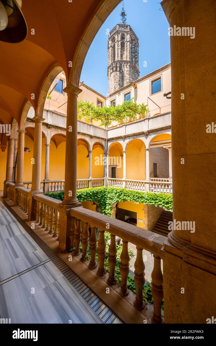 Arxiu de la Corona d'Arago, Archives municipales, cour avec arcades, vieille ville de Barcelone, Catalogne, Espagne Banque D'Images