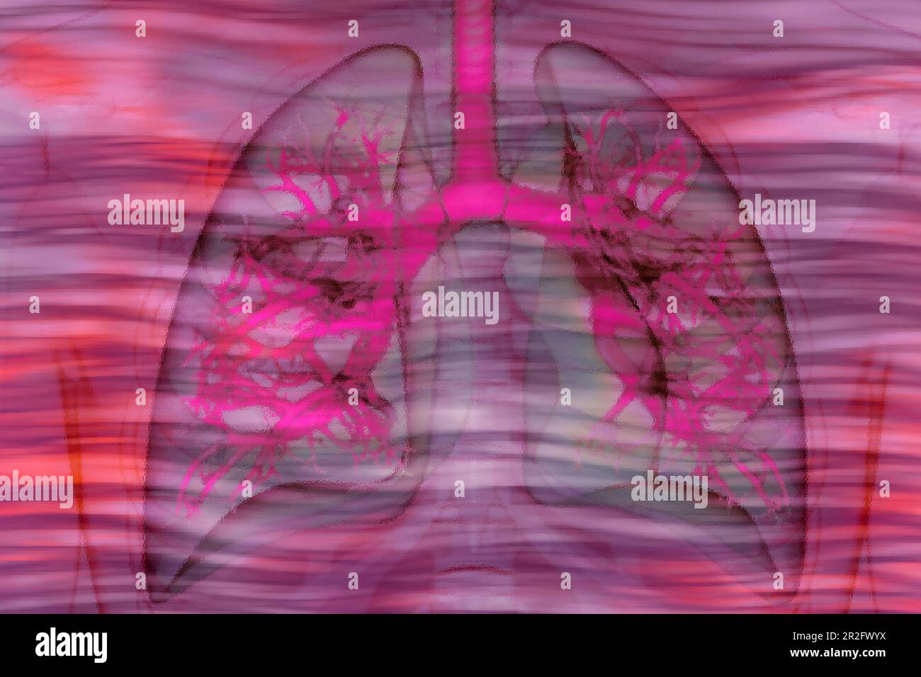 Illustration des poumons les poumons sont l'organe de notre corps qui assure que l'oxygène vital de l'air que nous respirons entre dans notre sang Banque D'Images
