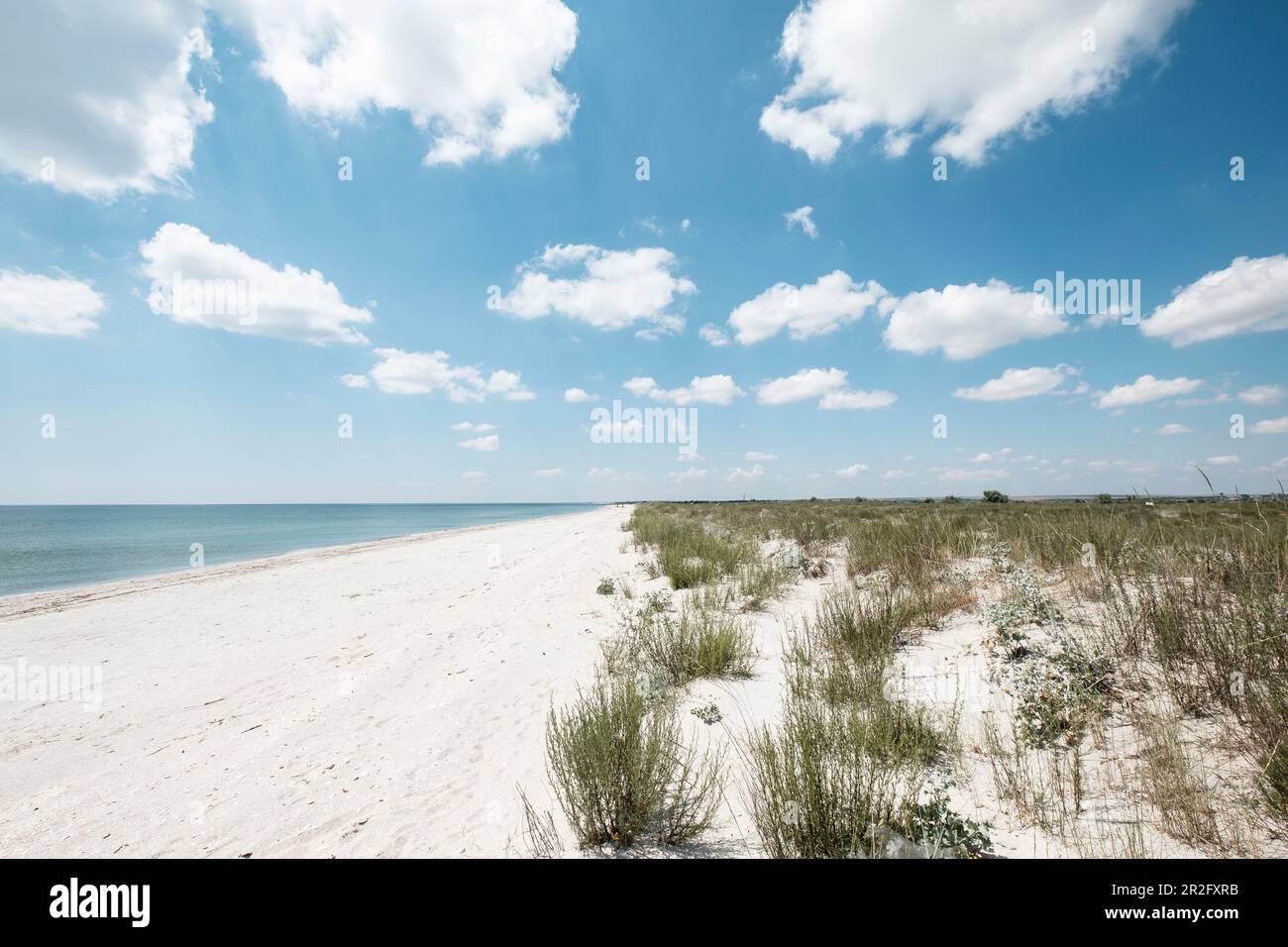 Plage naturelle sur la mer Noire près de Vadu, Constanta / Konstanza, Roumanie. Banque D'Images