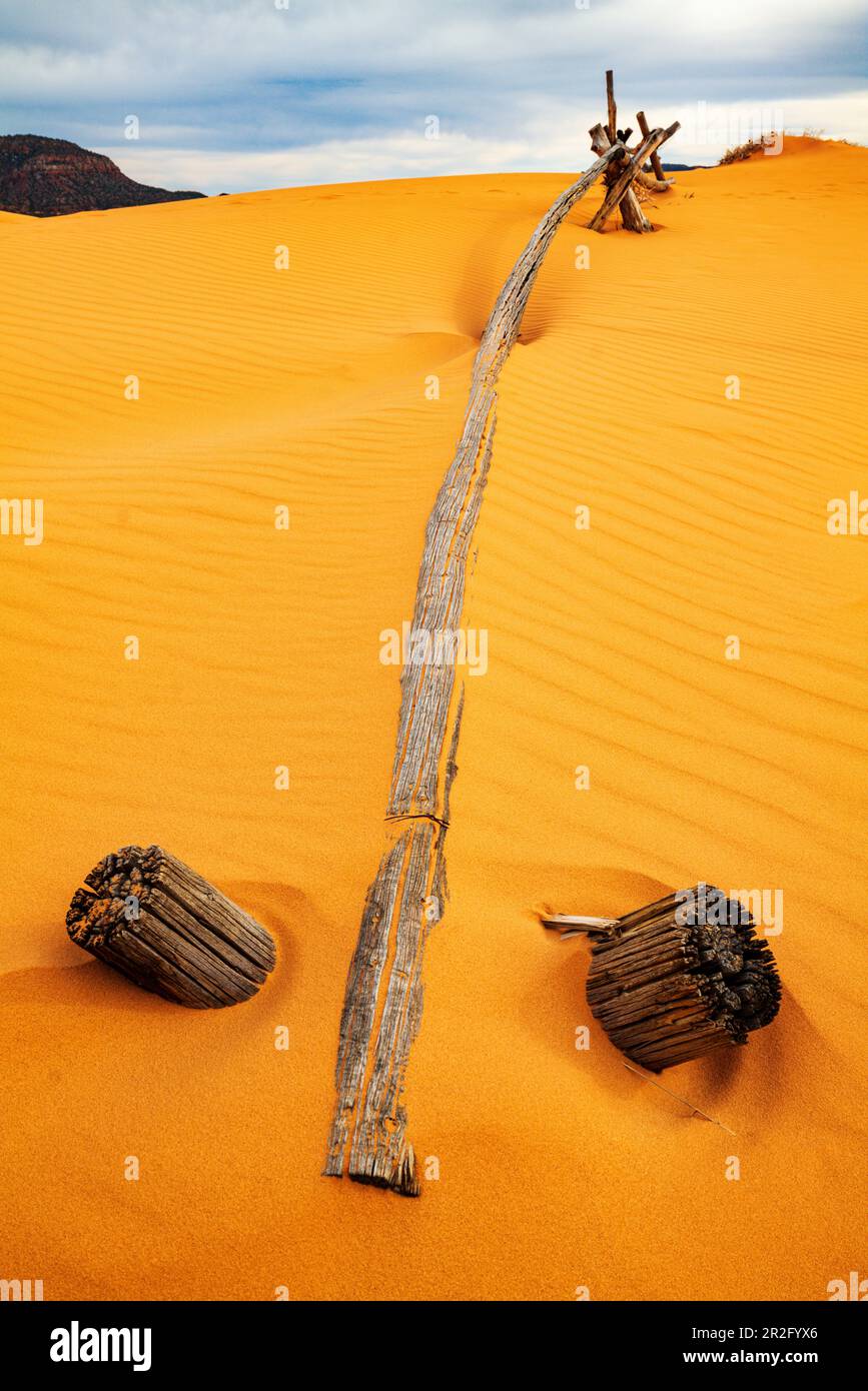 Barrière de ranch en bois de millepertuis; parc national Coral Pink Sand Dunes; Utah; États-Unis Banque D'Images