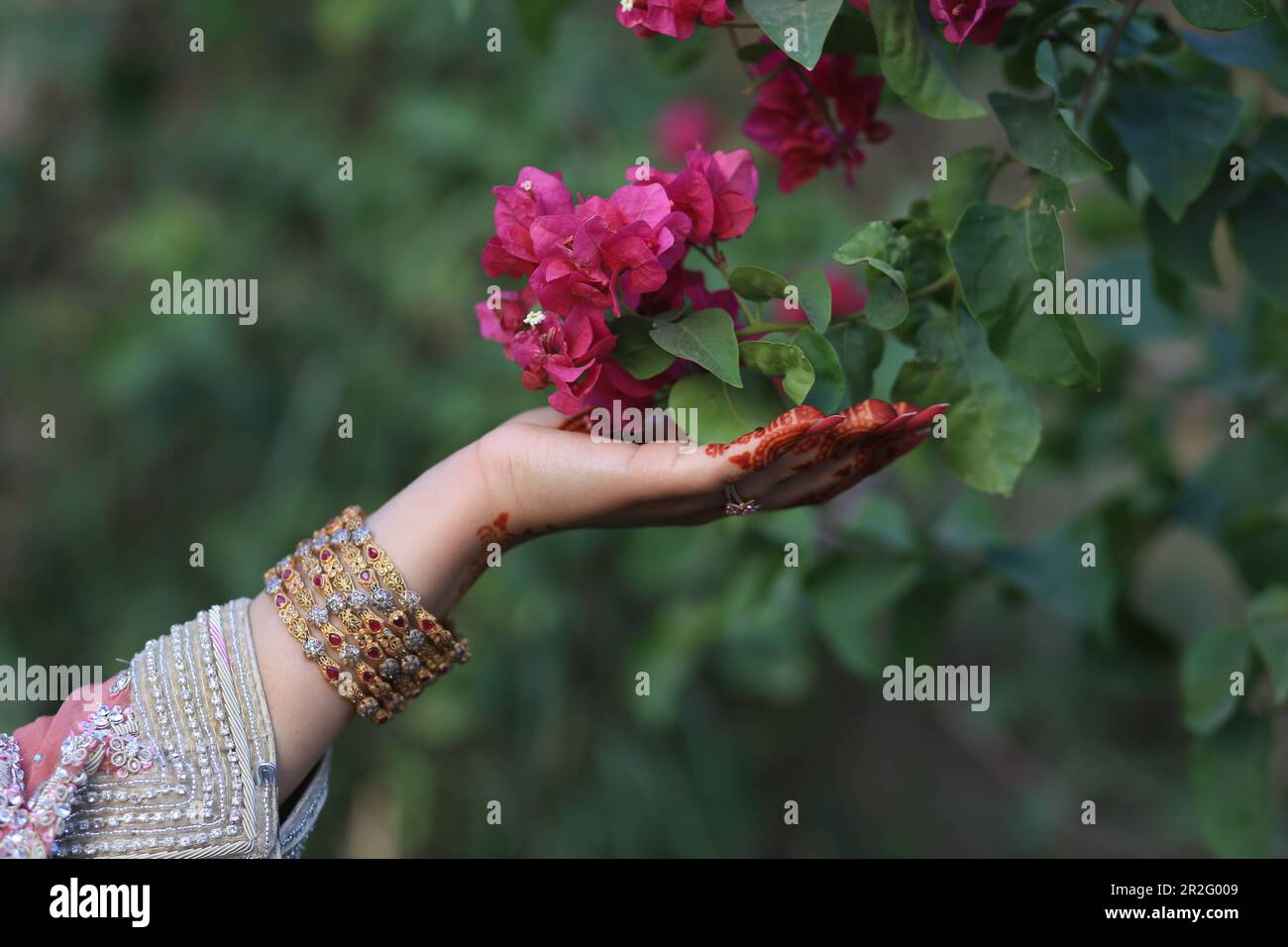Mariée tenant des fleurs rouges, Mehndi Design, bijoux. Banque D'Images