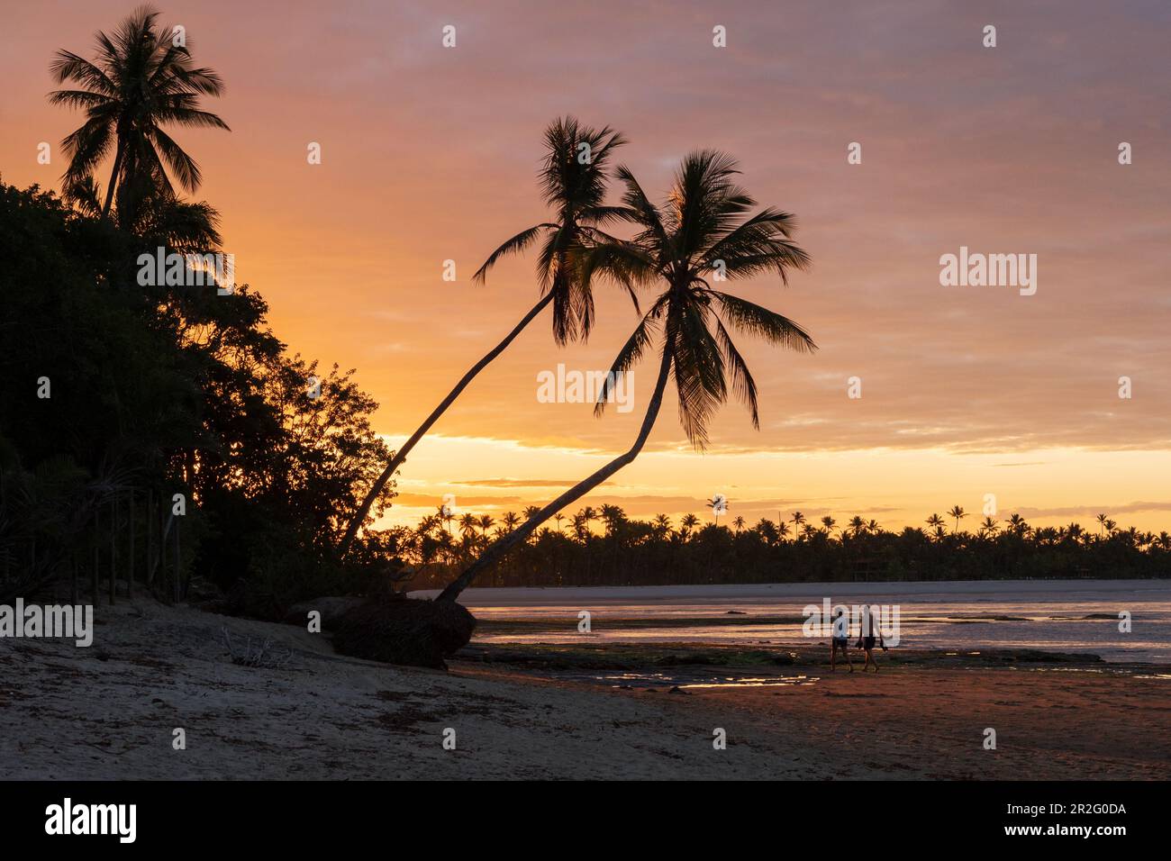 Coucher de soleil sur la plage avec palmiers, île de Boipeba, Bahia, Brésil, Amérique du Sud Banque D'Images