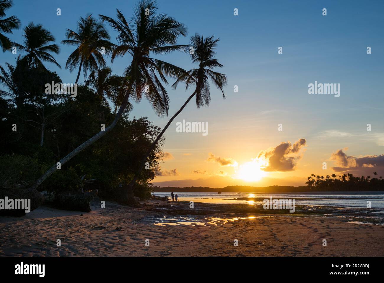 Coucher de soleil sur la plage avec palmiers, île de Boipeba, Bahia, Brésil, Amérique du Sud Banque D'Images