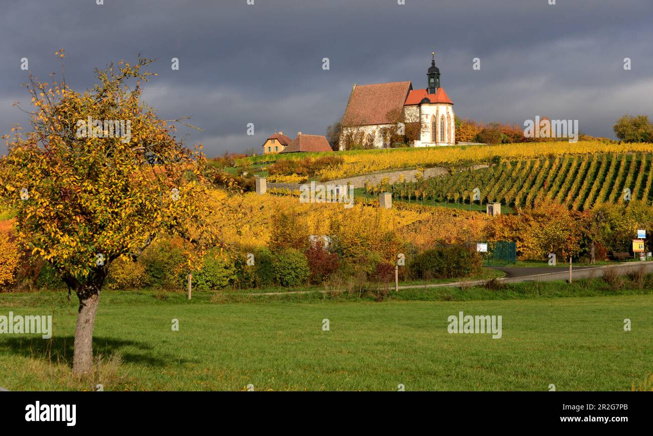 Maria dans le vignoble près de Volchach am main, Basse-Franconie, Bavière, Allemagne Banque D'Images