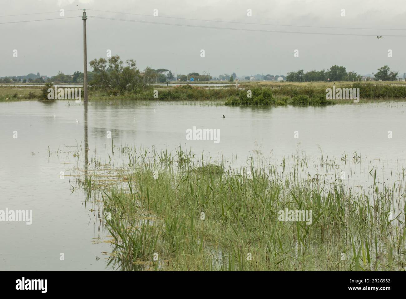 Région de l'Émilie-Romagne, Italie. 19 mai 2023. Les fortes pluies ont causé des inondations dans la région de l'Émilie-Romagne, au nord de l'Italie © Piotr Zajac/Alamy Live News Banque D'Images