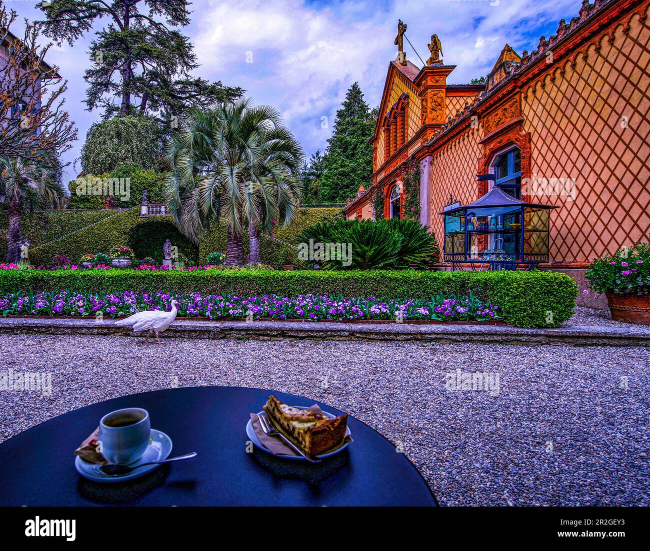Vue depuis le restaurant en plein air sur Isola Madre, les îles Borromées, le lac majeur, Stresa, Piémont, Italie Banque D'Images Vue depuis le restaurant en plein air sur Isola Madre, les îles Borromées, le lac majeur, Stresa, Piémont, Italie Banque D'Images