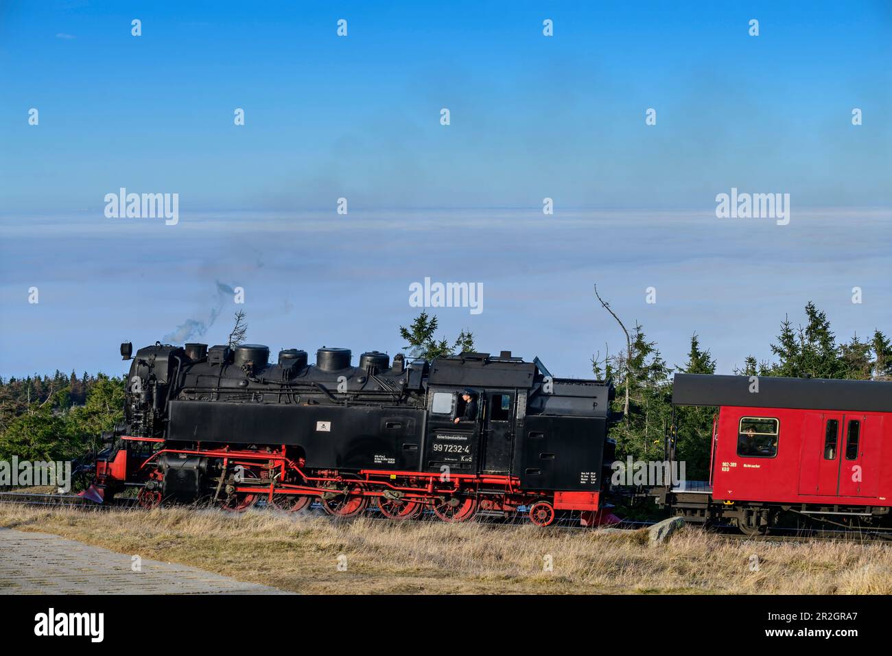 Locomotive du chemin de fer à vapeur à Brocken, Brockenbahn, Harz, parc national de Harz, Saxe-Anhalt, Allemagne Banque D'Images
