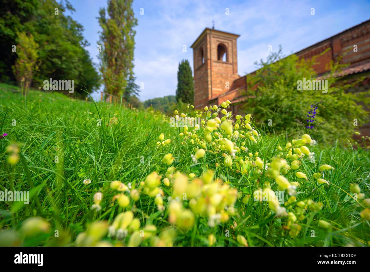 Printemps à l'Abbazia di Vezzolano, Piémont, Italie, Europe Banque D'Images