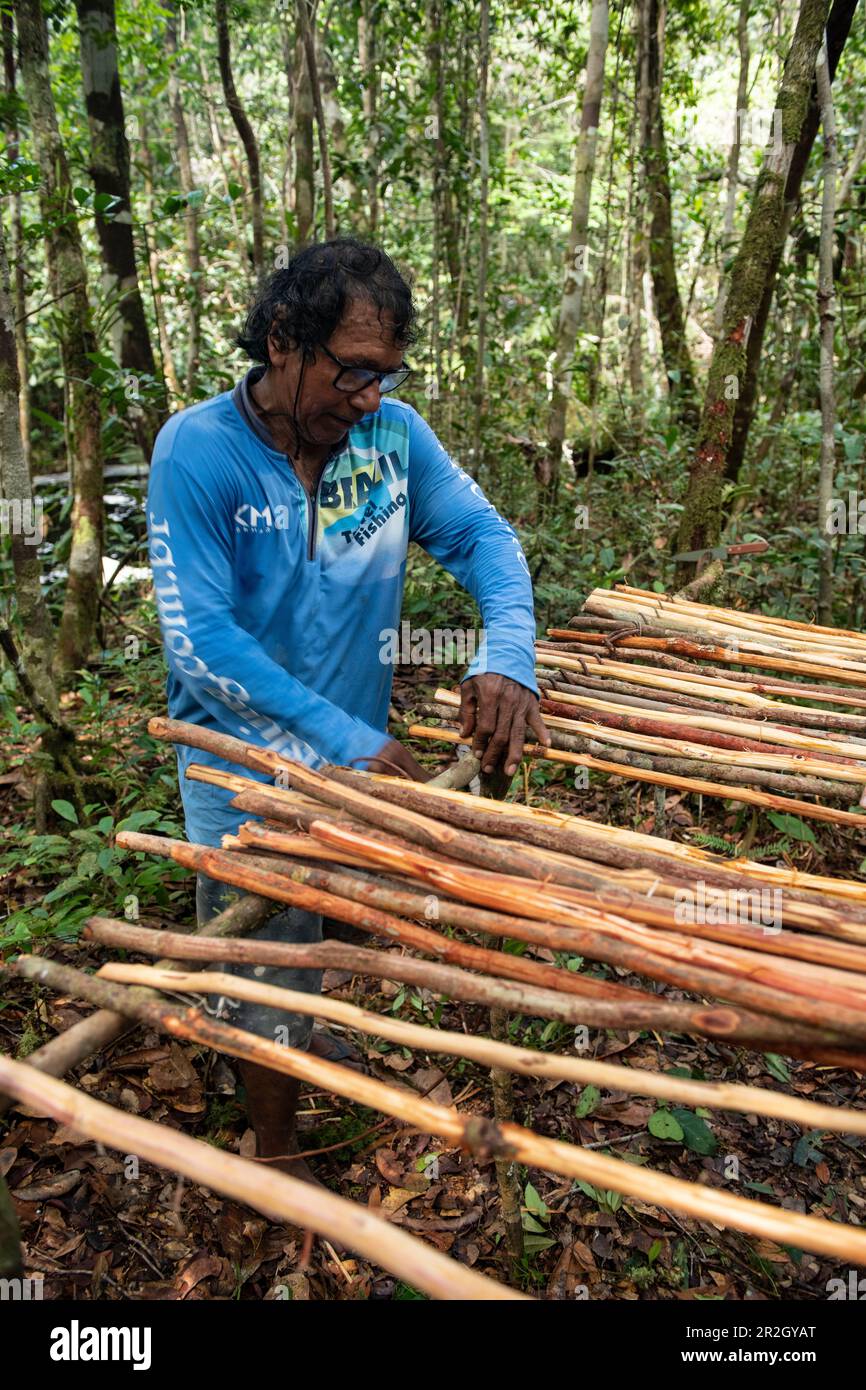 Un guide naturaliste brésilien construit une table de déjeuner naturelle dans une forêt, près de Manaus, Amazone, Brésil, Amérique du Sud Banque D'Images Un guide naturaliste brésilien construit une table de déjeuner naturelle dans une forêt, près de Manaus, Amazone, Brésil, Amérique du Sud Banque D'Images