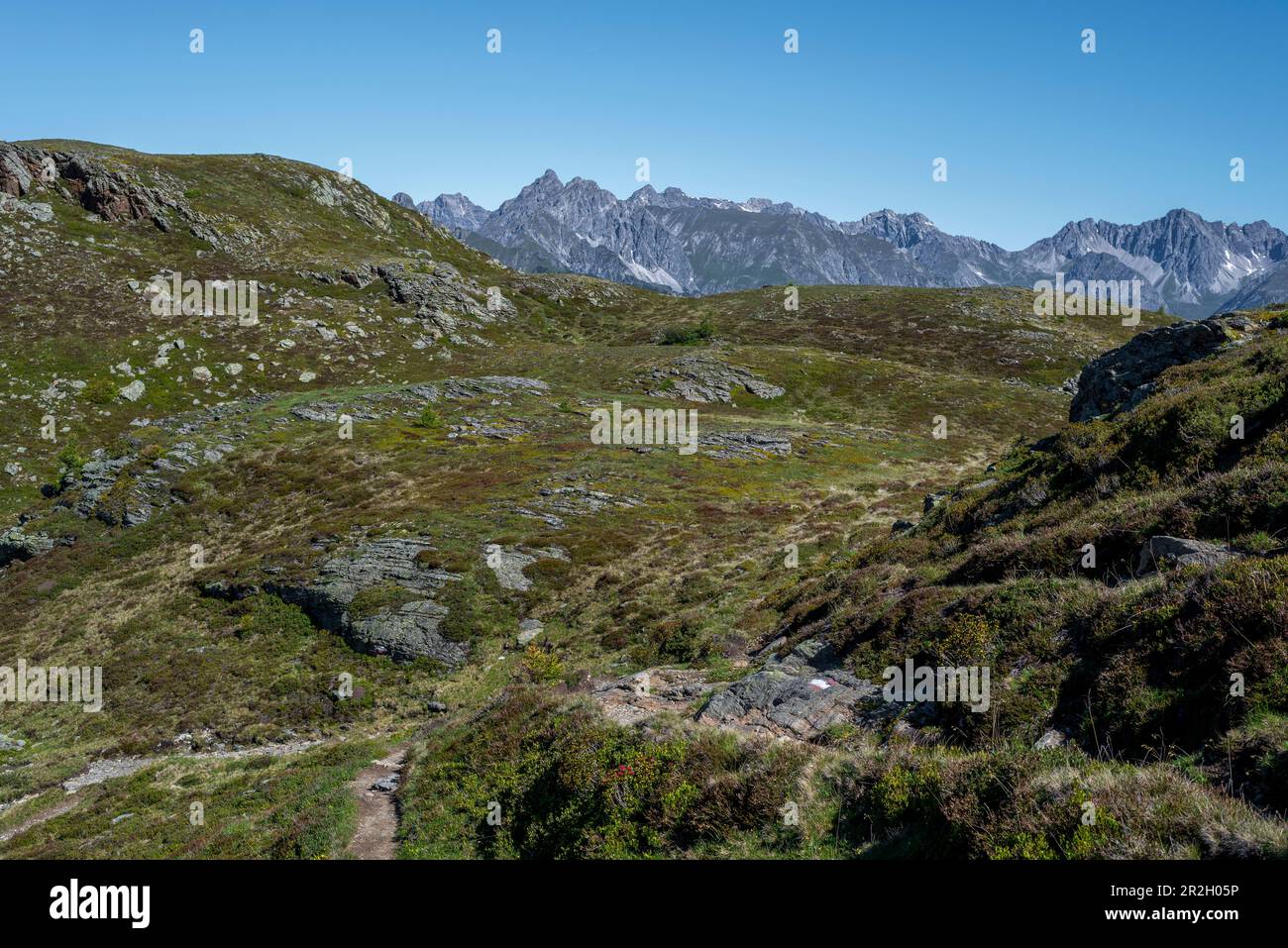 Vue sur les Alpes depuis le sentier de randonnée européen longue distance de E5, Wenns, Tirol, Autriche Banque D'Images