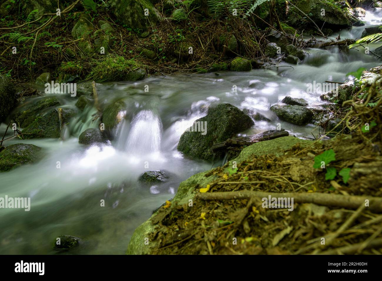 Ruisseau de montagne à la chute d'eau de Partschins, Partschins, Tyrol du Sud, Alto Adige, Italie Banque D'Images