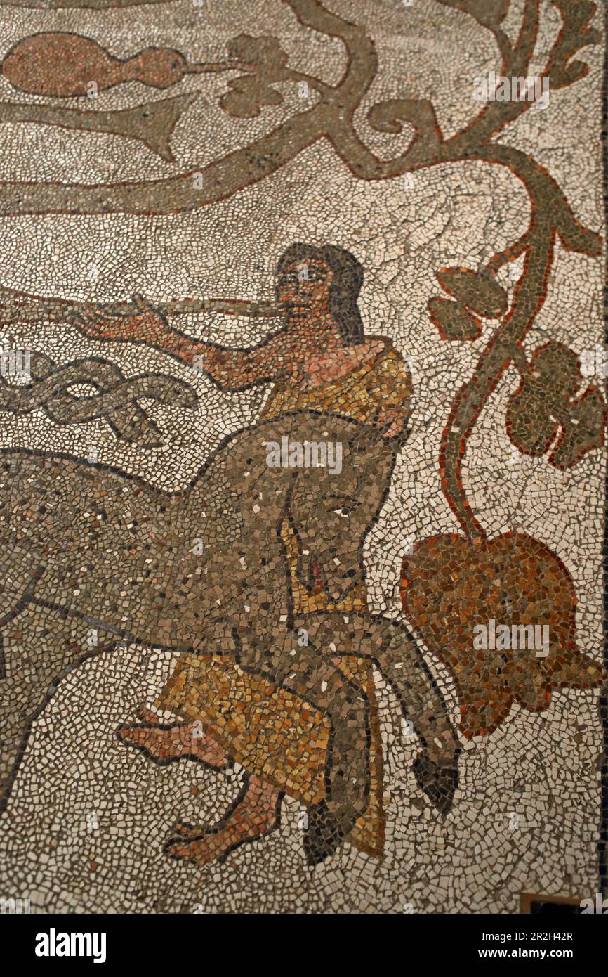 Mosaïques de sol dans la cathédrale d'Otrante, Salento, Puglia, Italie Banque D'Images