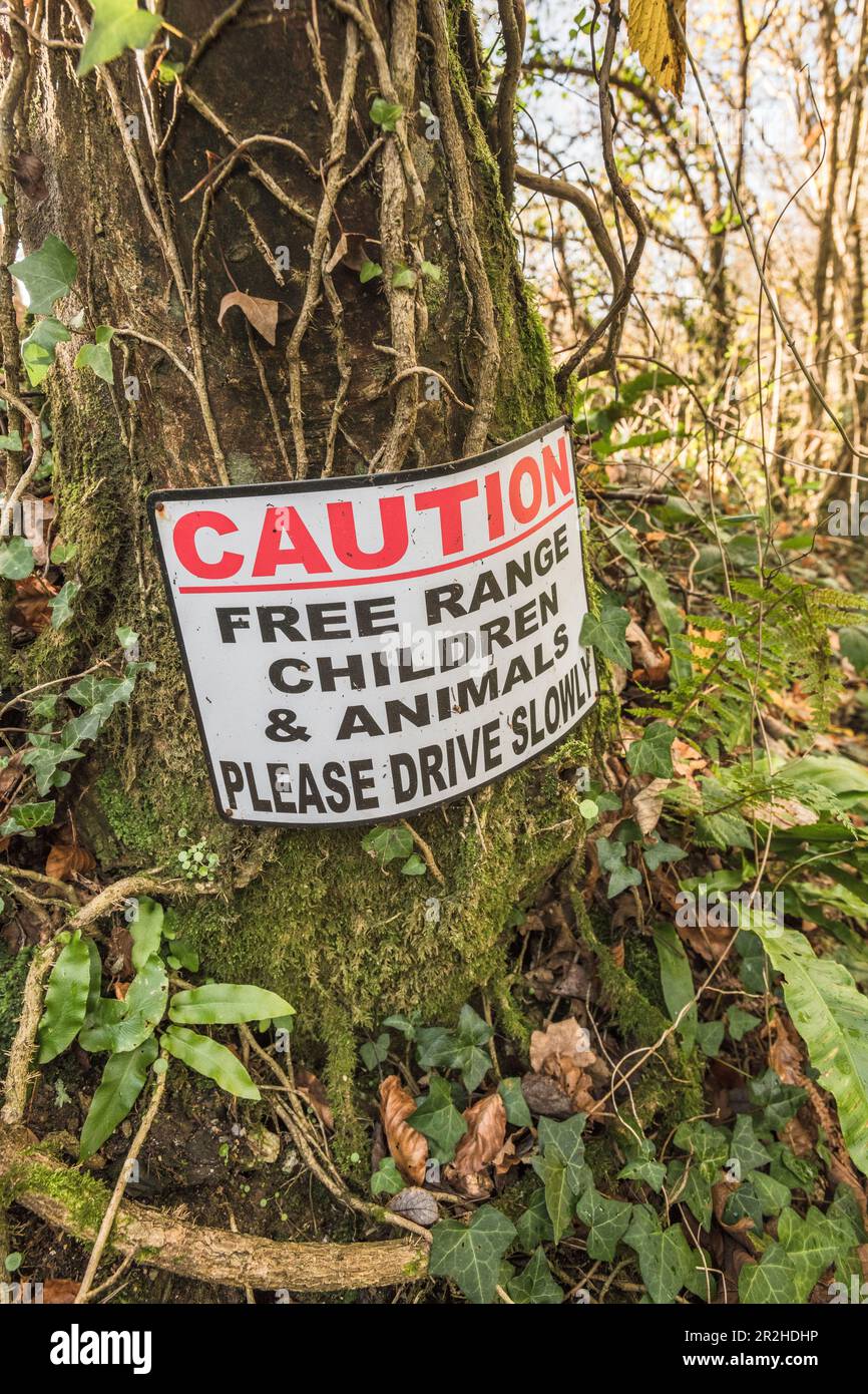 Étiquette de sécurité Free Range Children Road à la tête d'une allée de bois. Pour la sécurité des enfants, métaphore enfants en jeu. Banque D'Images