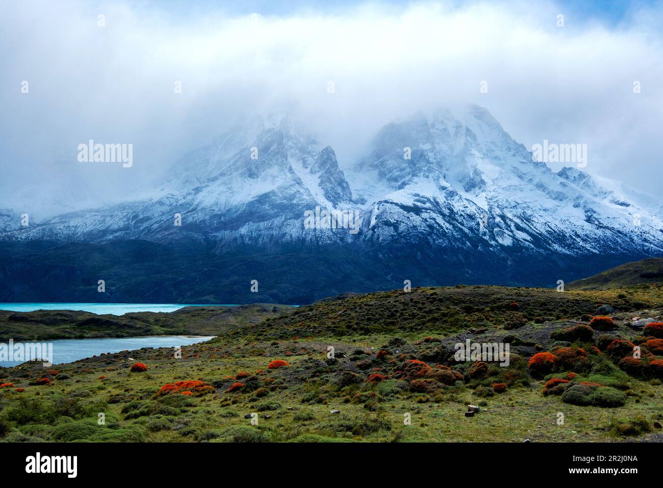 Parc national Torres del Paine, sud du Chili, Amérique du Sud Banque D'Images