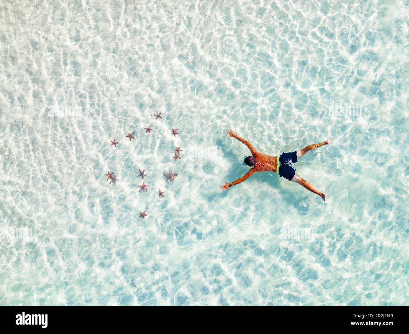 Vue aérienne du touriste en admirant le snorkeling coloré d'étoiles de mer dans le lagon turquoise, Zanzibar, Tanzanie, Afrique de l'est, Afrique Banque D'Images