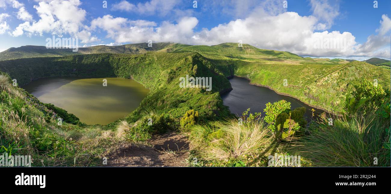 Panorama de Miradouro sur Caldeira Negra e Lagoa Comprida, deux lacs d'origine volcanique sur l'île de Flores, les îles des Açores, le Portugal, l'océan Atlantique Banque D'Images