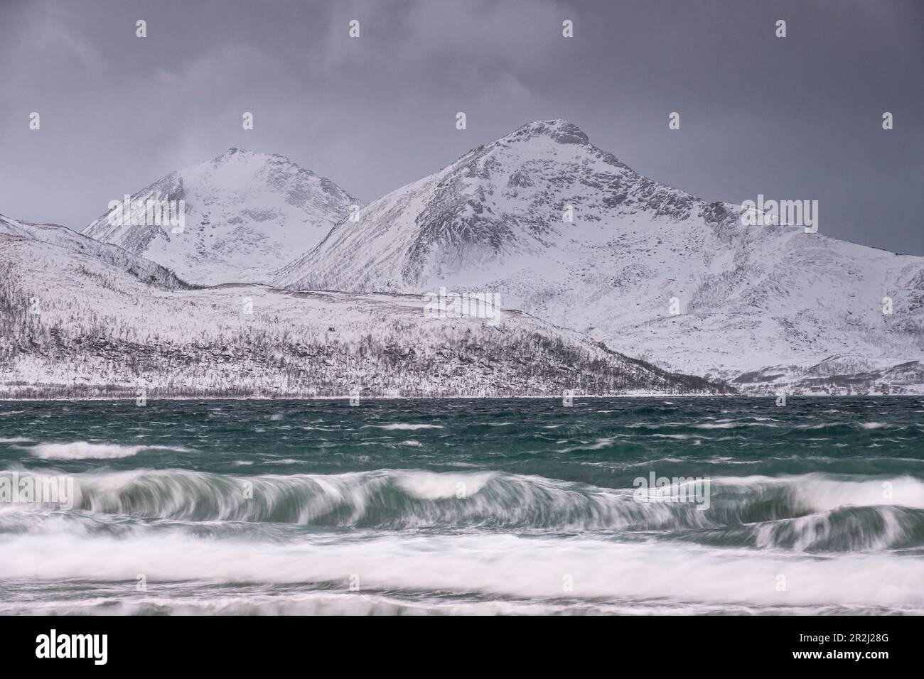 Waves on Grotfjord (Grotfjorden) Plage en hiver, île de Kvaloya, près de Tromvik, comté de Troms og Finnmark, Norvège, Scandinavie, Europe Banque D'Images