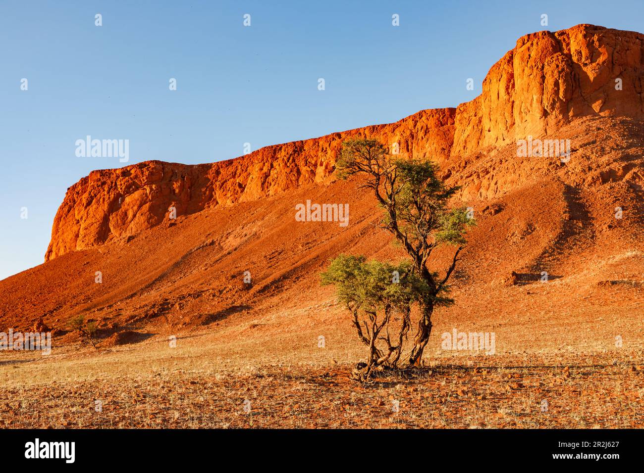 Les impressionnantes dunes pétrifiées de Sesriem dans le parc national Namib-Naukluft, Namibie, Afrique Banque D'Images