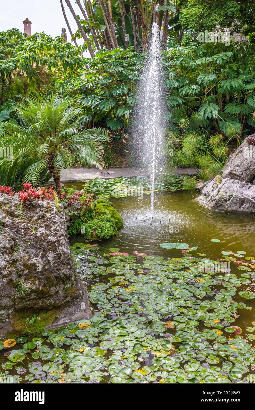 Fontaine dans le jardin de la Mortella à Forio, île d'Ischia, Golfe de Naples, Campanie, Italie Banque D'Images