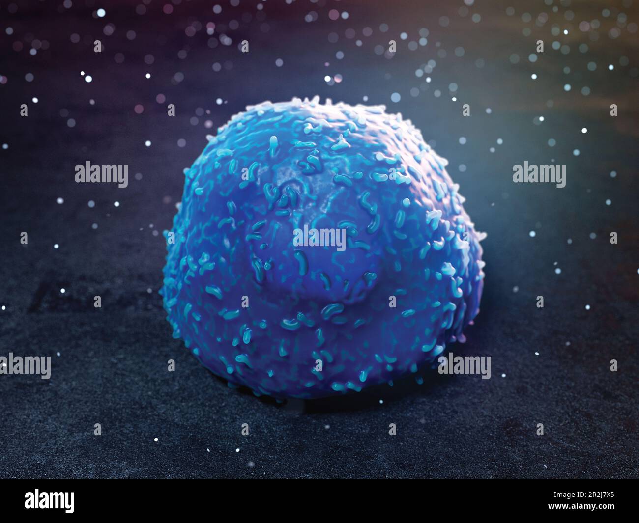 Lymphocyte, illustration Banque D'Images