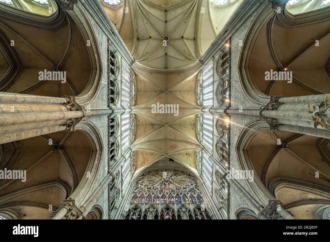 Plafond de l'église et colonnes de la cathédrale notre Dame d'Amiens, Amiens, France Banque D'Images
