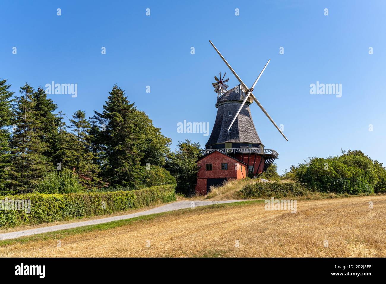 Moulin sur l'île de Langeland, Danemark, Europe Banque D'Images