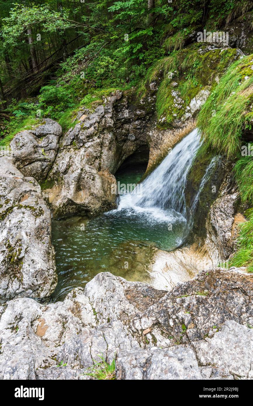 Jardin des glaciers dans l'Echerntal près de Hallstatt, Salzkammergut, haute-Autriche, Autriche Banque D'Images