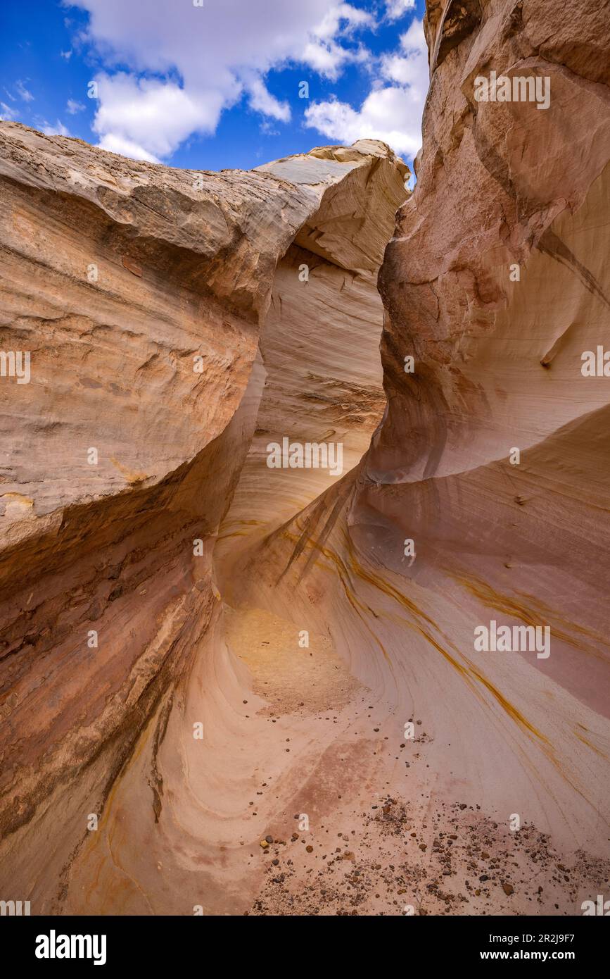 Une vue depuis l'extrémité inférieure du Nautilus, une incroyable formation de grès dans le Grand Staircase-Escalante National Monument, près de Kanab, Utah, États-Unis. Banque D'Images