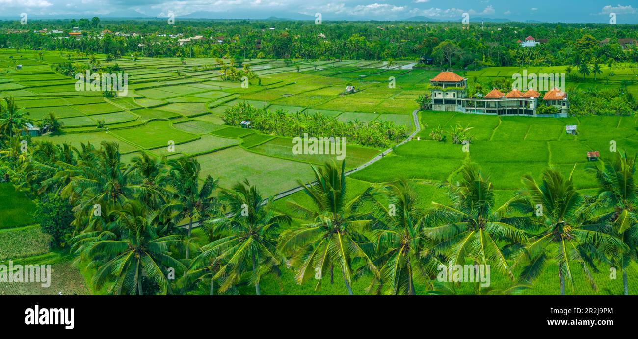 Vue aérienne de Kajeng Rice Field, Gianyar Regency, Bali, Indonésie, Asie du Sud-est, Asie Banque D'Images