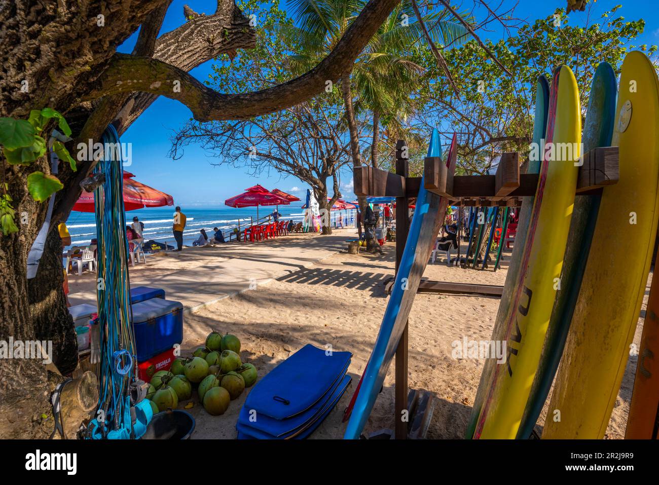 Vue sur les planches de surf et les vendeurs le matin ensoleillé sur Kuta Beach, Kuta, Bali, Indonésie, Asie du Sud-est, Asie Banque D'Images