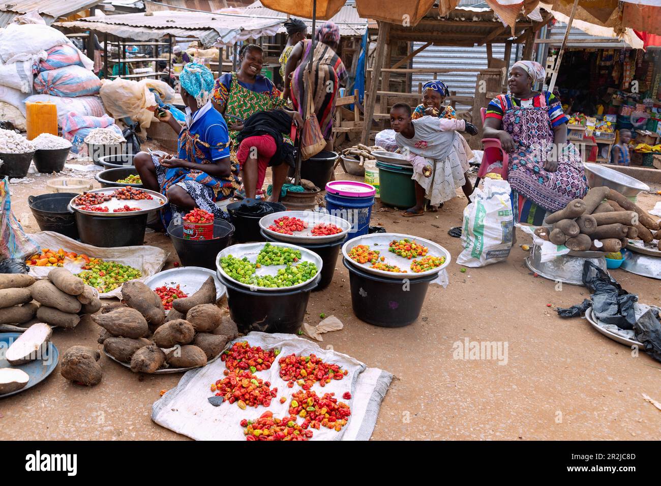 Vendre du Chili, du habanero et de l'igname sur le marché hebdomadaire de Techiman, dans la région de Bono East, dans le centre du Ghana, en Afrique de l'Ouest Banque D'Images