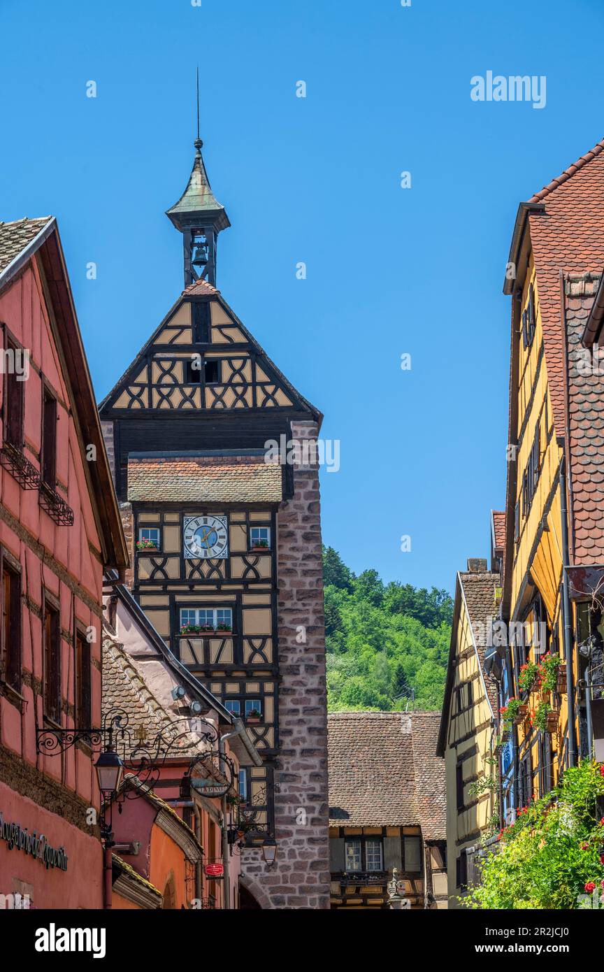 Tour des Dolder à Riquewihr, Reichenweier, Haut-Rhin, route des vins d'Alsace, route des vins d'Alsace, Grand est, Alsace-Champagne-Ardenne-Lorraine, France Banque D'Images