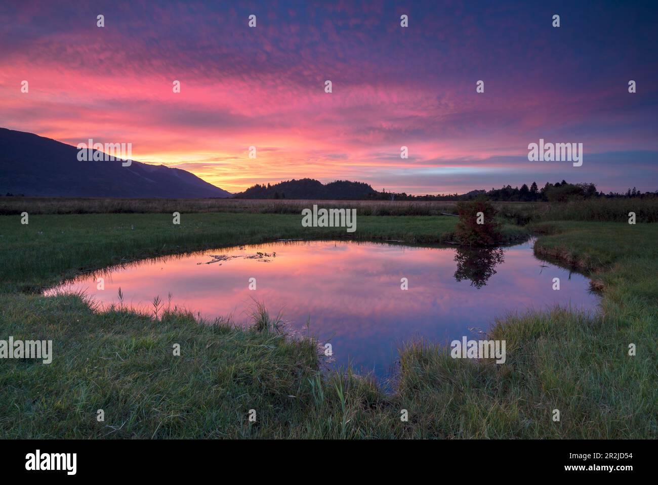 Petit lac de source dans les Murnauer Moos avec un éclairage de soirée attrayant. Banque D'Images