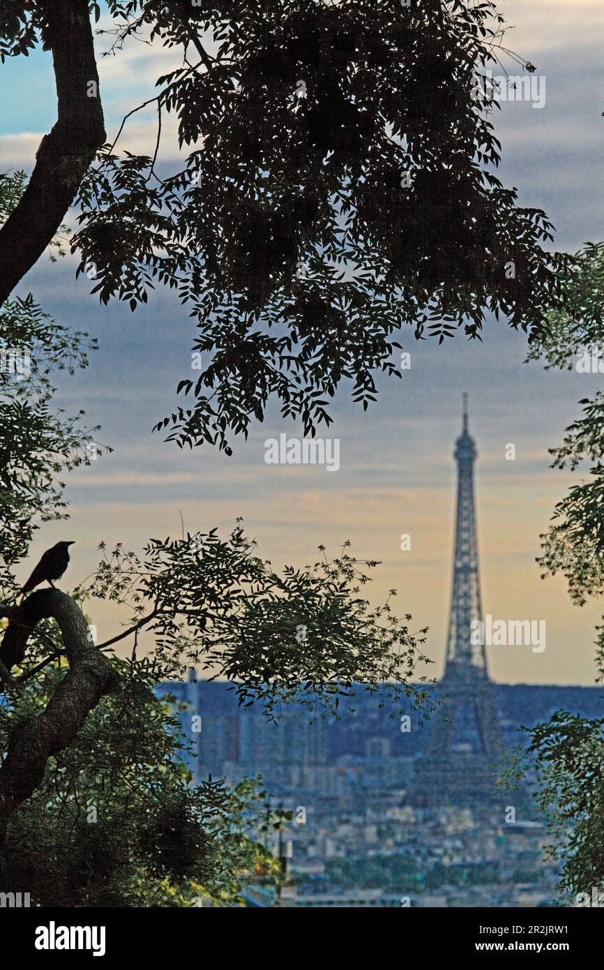 La tour Eiffel vu de Montmartre au crépuscule, Paris, France, Europe Banque D'Images