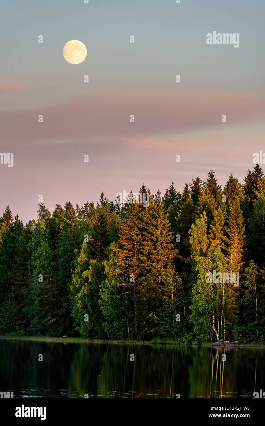 Paysage avec une pleine lune sur le Lake District, Finlande Banque D'Images