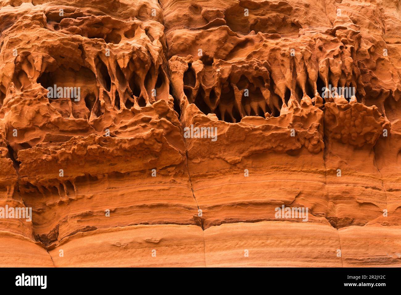 Structures dans la roche, Altschlossfelsen, près d'Eppenbrunn, Forêt du Palatinat, Rhénanie-Palatinat, Allemagne Banque D'Images