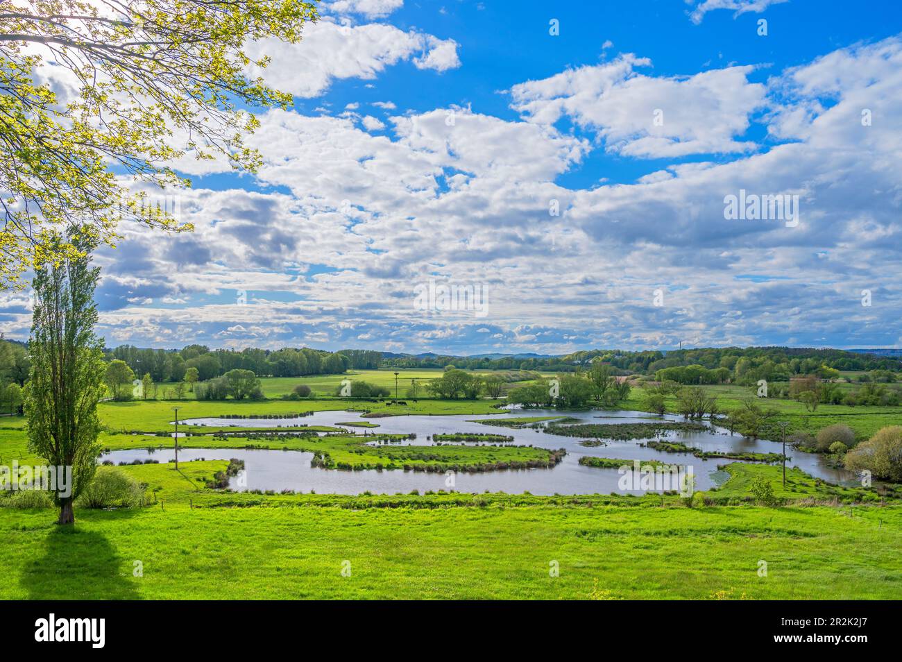 Le biotope Beeden près de Homburg, Bliesgau Sarre, Allemagne Banque D'Images