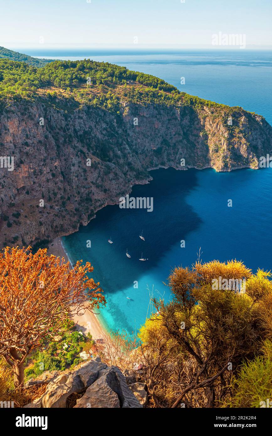 Vue aérienne de la vallée des papillons ou de la plage de Kelebekler Vadisi près de la ville d'Oludeniz ou Fethiye, Mugla, Turquie le matin ensoleillé. Orientation verticale Banque D'Images