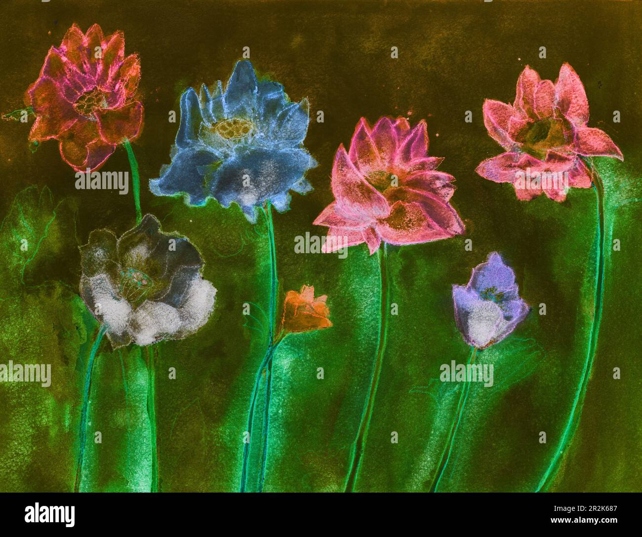 Lotusflowers à l'aluminée dans la nuit. La technique de tabouillage près des bords donne un effet de flou en raison de la rugosité de surface modifiée du papier Banque D'Images