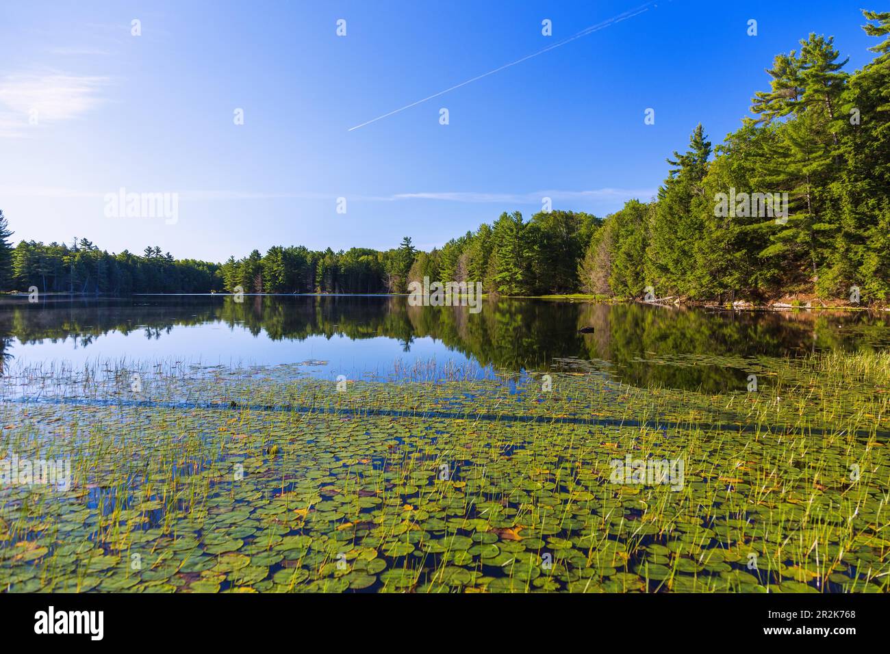 Lac Levi, Sequin, district de Muskoka Banque D'Images