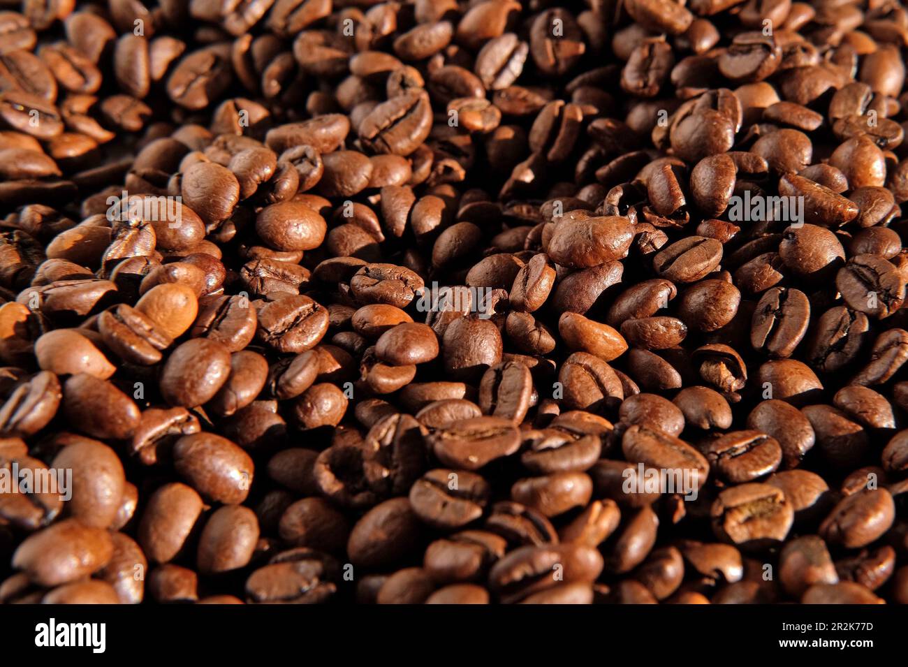 Fond de grains de café. Gros plan sur la texture des grains de café. Le café torréfié brun foncé tourne. Abondance. Concept pour la publicité des produits du café. S Banque D'Images