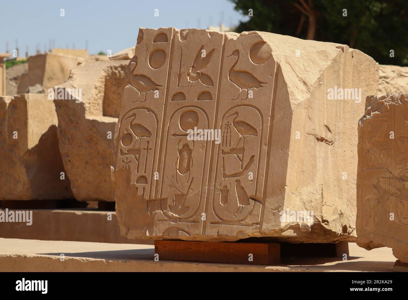 Symboles Et Hiéroglyphes égyptiens Anciens Sculptés Aux Murs Du Temple ...