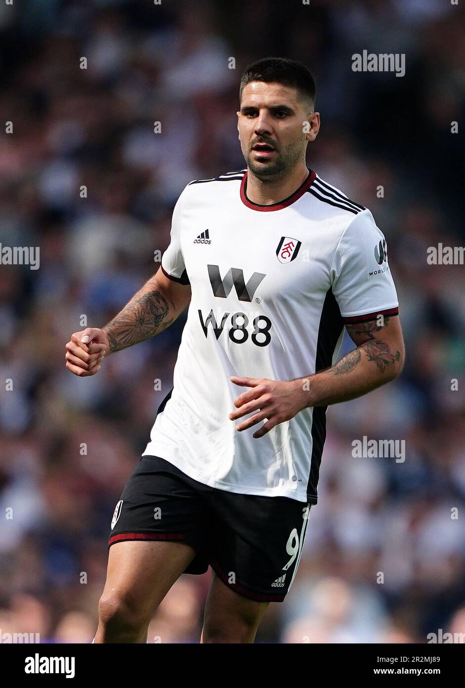 Aleksandar Mitrovic de Fulham pendant le match de la Premier League à Craven Cottage, Londres. Date de la photo: Samedi 20 mai 2023. Banque D'Images