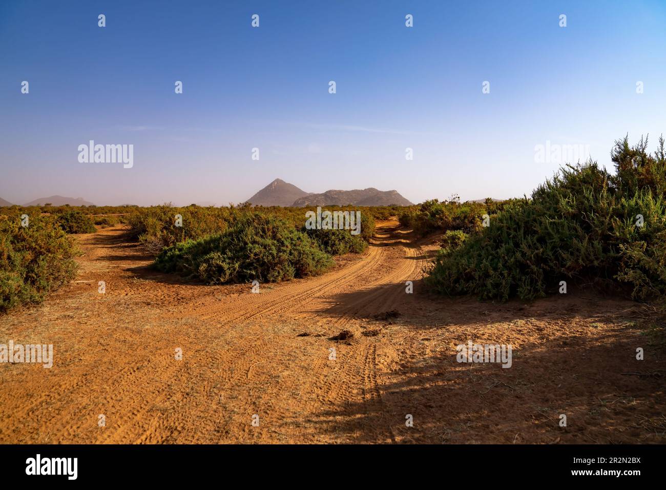 Route poussiéreuse menant aux montagnes, réserve nationale de Samburu, Kenya, Afrique de l'est Banque D'Images